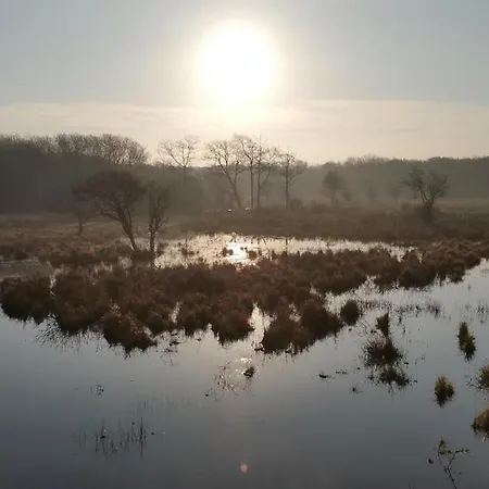 Apartment Repos 150m Coeur De *