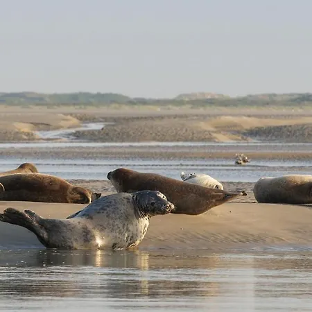 Apartment Repos 150m Coeur De